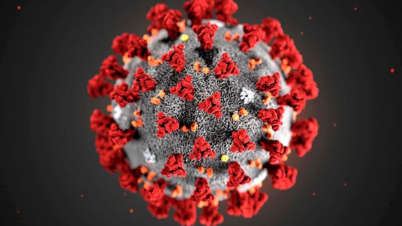 Koronavirüs "Küresel Acil Sağlık Durumu" olmaktan çıktı